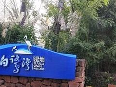 -白鹭湾湿地公园