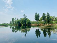 -白洋淀锅里口灶台鱼