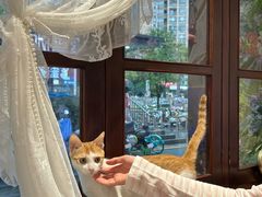 -初甜·舒芙蕾·韩式雪花冰(流塘店)