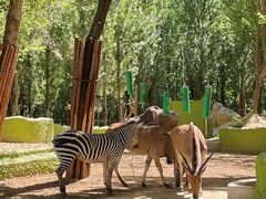 -北京野生动物园