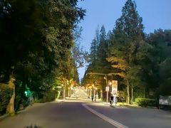 -日照海滨国家森林公园
