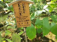 -天龙寺