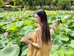 -广州莲花山旅游区