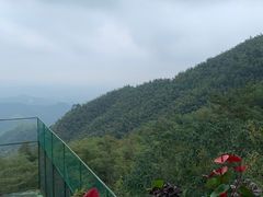 -莫干山风景区