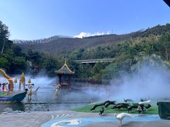 -西双版纳原始森林公园