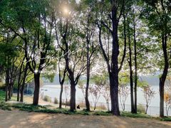 -美兰湖景区