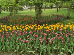 -长春公园(普阳街道)