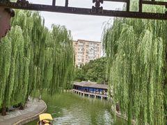 -团结湖公园