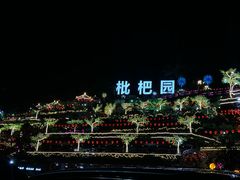 -枇杷园食为鲜火锅(南山店)