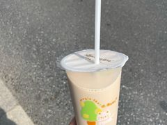 -猫的魔法密林(衣裳街店)