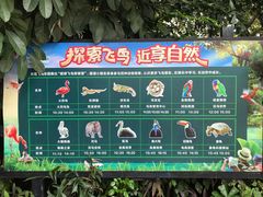 -广州长隆飞鸟乐园