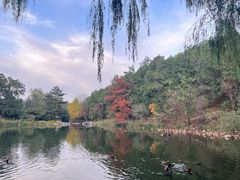 -香山公园