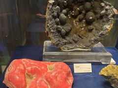 -国家自然博物馆