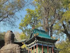 -晋祠公园