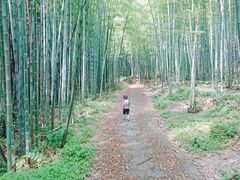 -天花井景区