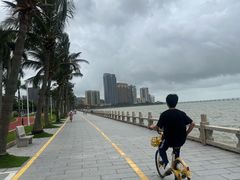 -观澳平台