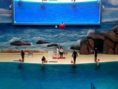 -福州罗源湾海洋世界旅游区