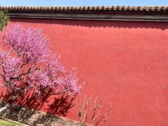 -北京市劳动人民文化宫(太庙)