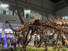 -自贡恐龙博物馆