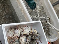 -吕四渔港码头海鲜餐厅