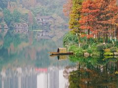 -重庆彩云湖湿地公园
