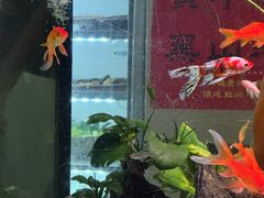 -贵州人家·酸汤火锅·20年老字号