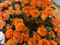 -双季花艺园艺市场(浦东店)