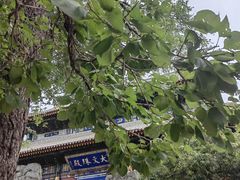 -五台山风景名胜区