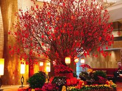 -广州天河希尔顿酒店