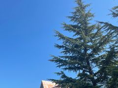-大连理工大学(凌水校区)