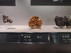 -中国地质博物馆