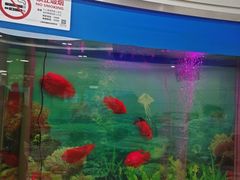 -雅悦齿科(顾村公园店)