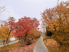 -蚝太郎 • 海鲜烧烤(建国路创始店)