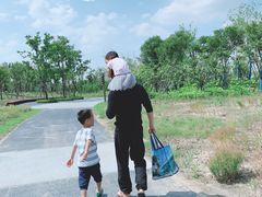 -春花秋色城市公园