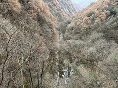 -朱雀国家森林公园