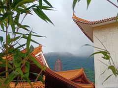 -深圳仙湖植物园