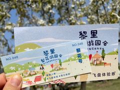 -黎里古镇