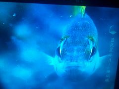 -海口绿发希尔顿酒店-田园汇自助餐·三文鱼·海鲜