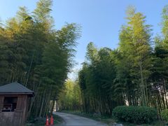 -苏州环秀晓筑养生度假村