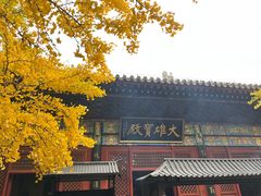 -红螺寺