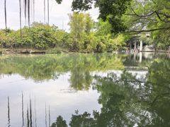 -小洲村