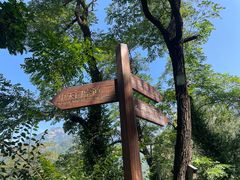 -泰山风景名胜区