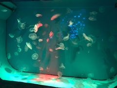 -台州海洋世界