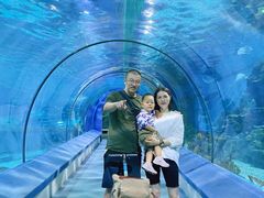 -福州罗源湾海洋世界旅游区