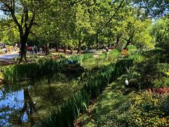 -上海共青森林公园