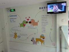 -瑞派申生动物医院·24H夜诊·国际动物医疗中心·骨外科(吴中路店)