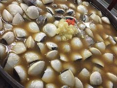 -顺德哥卜卜贝(旗舰店)