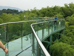 -陶祖圣境风景区