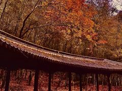 -穹窿山景区