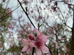 -千龙湖生态旅游度假区